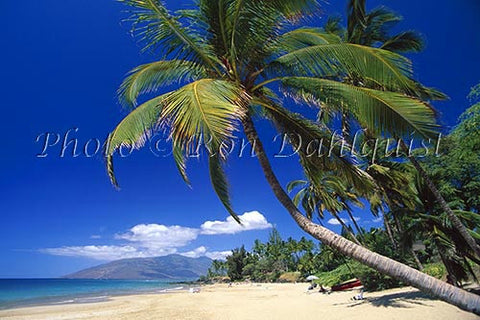 Kamaole Beach, Maui, Hawaii - Hawaiipictures.com