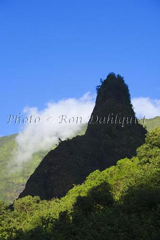 Iao Needle at Iao Valley State Park, Maui, Hawaii Picture Stock Photo - Hawaiipictures.com