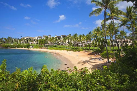 Kapalua Beach and Bay, Maui, Hawaii Picture - Hawaiipictures.com